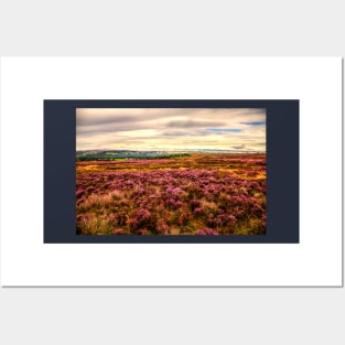 Pink Heather On The Yorkshire Moors Posters and Art